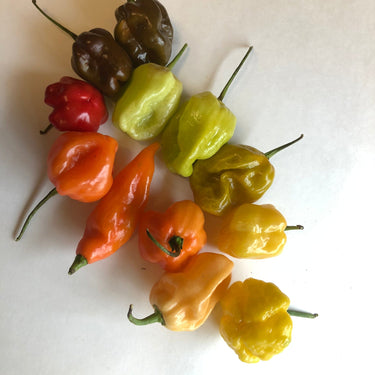 Fresh Habanero/Scotch Bonnet Peppers - Mixed Box: Red, Orange, Chocolate, Peach, etc
